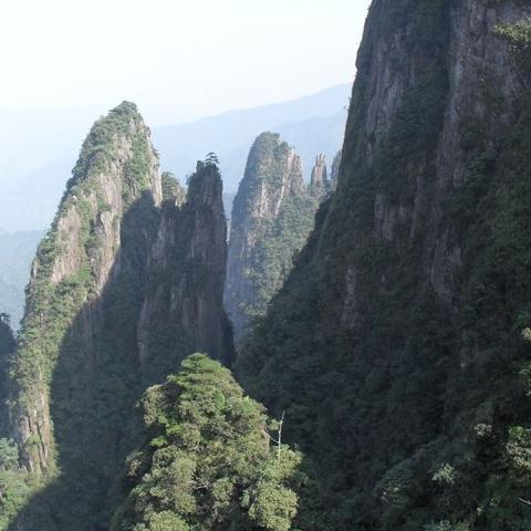 如何解锁遗忘仙境中的关卡？步骤详细，让你轻松畅游真正的仙境！